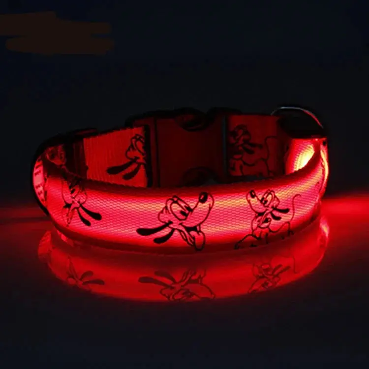 Collier led pour chien