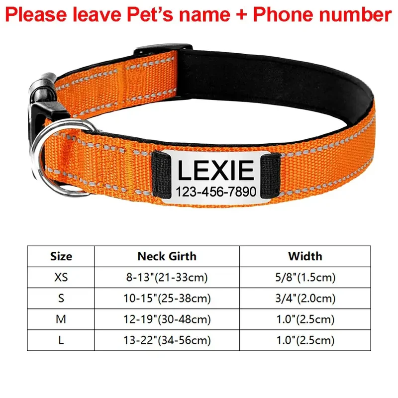 Collier identification chiot