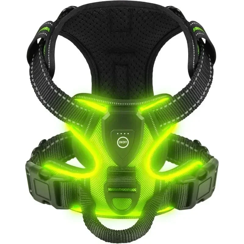 Harnais fluorescent pour gros chien