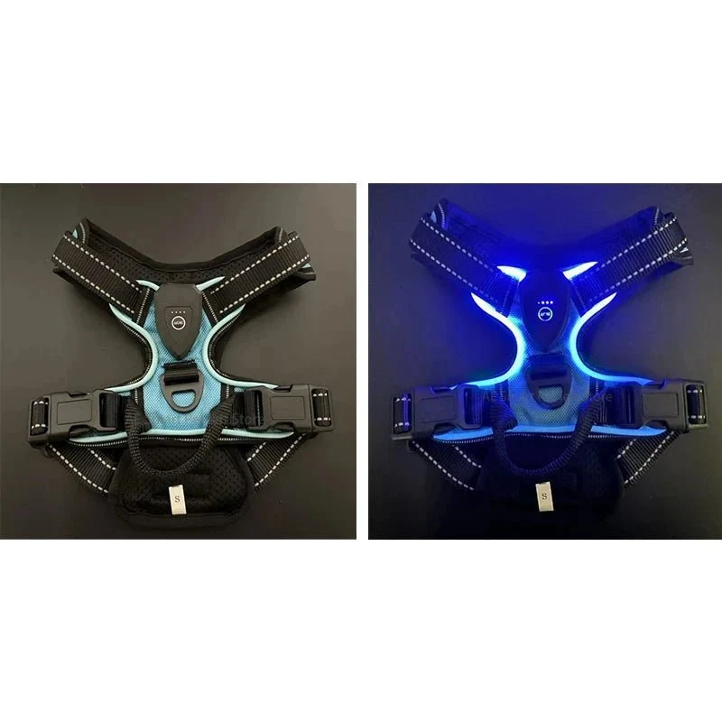 Harnais fluorescent pour gros chien