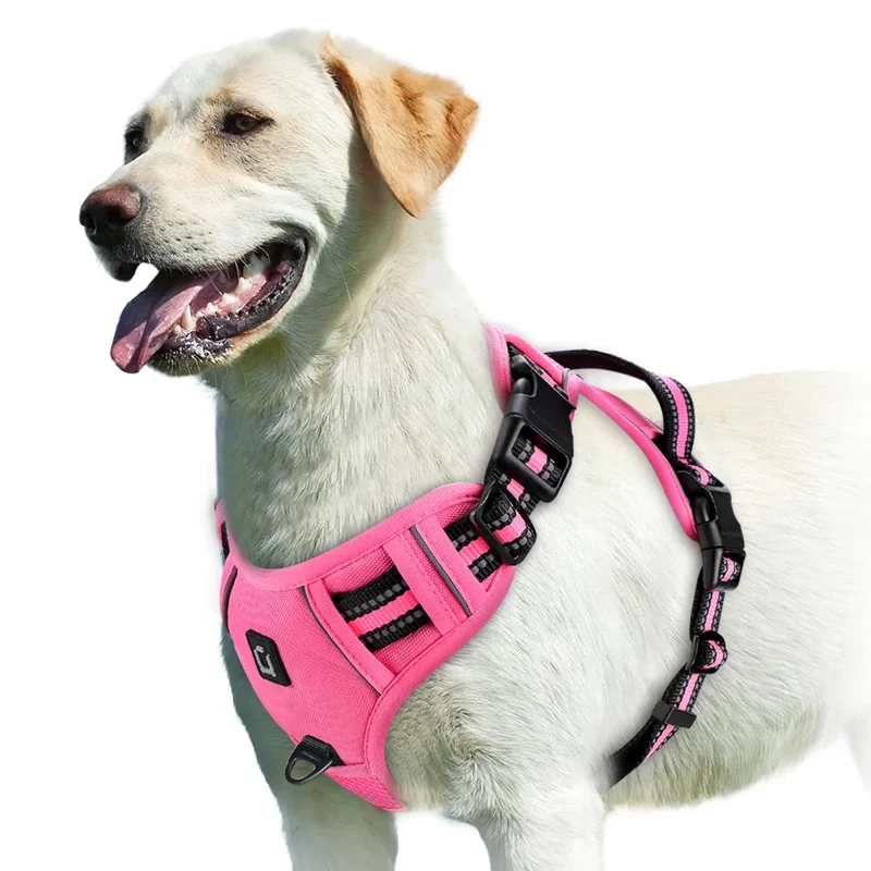 Harnais bouclier pour gros chien