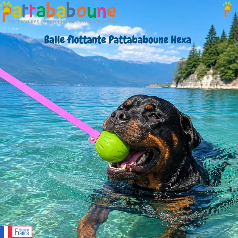 Balle flottante pour chien Hexa - Lancer & jeux aquatiques - Pattababoune