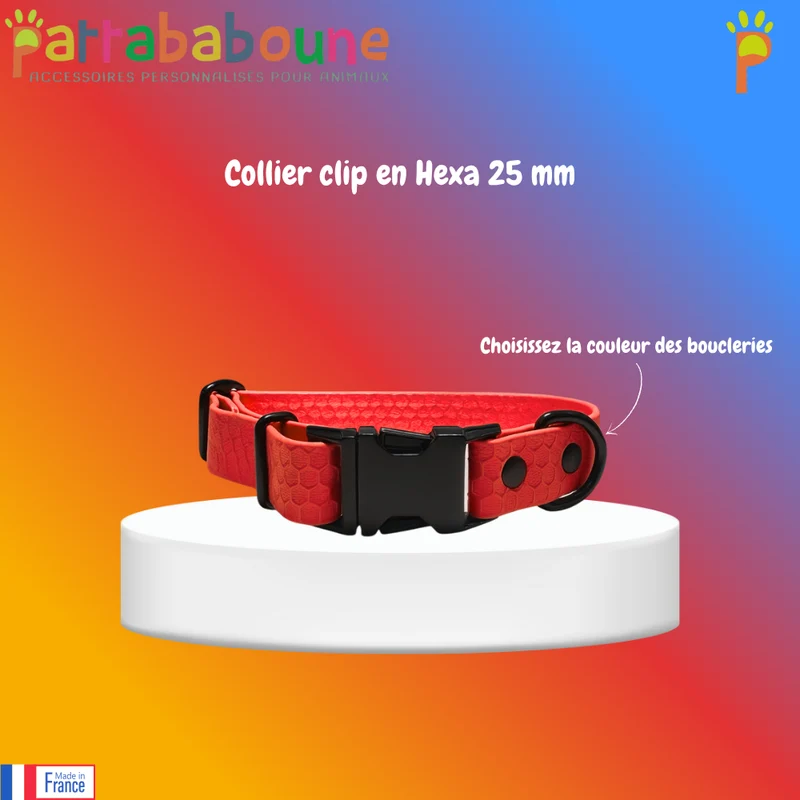 Collier chien personnalisé – Clip sécurisé – Hexa 25 mm