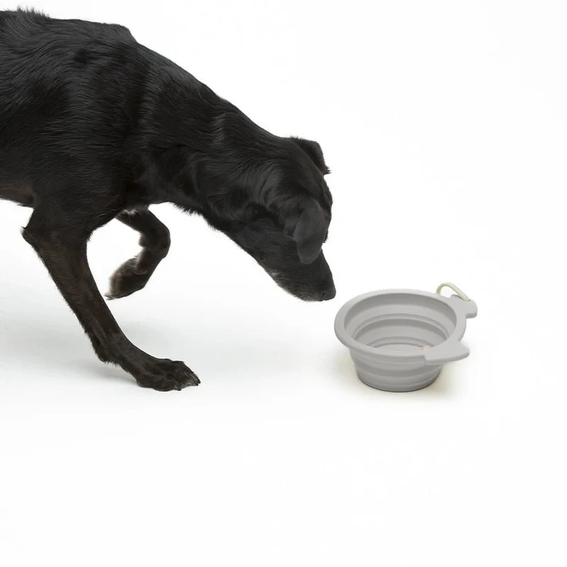 Bol pliable de voyage pour chien en silicone taupe 500 m