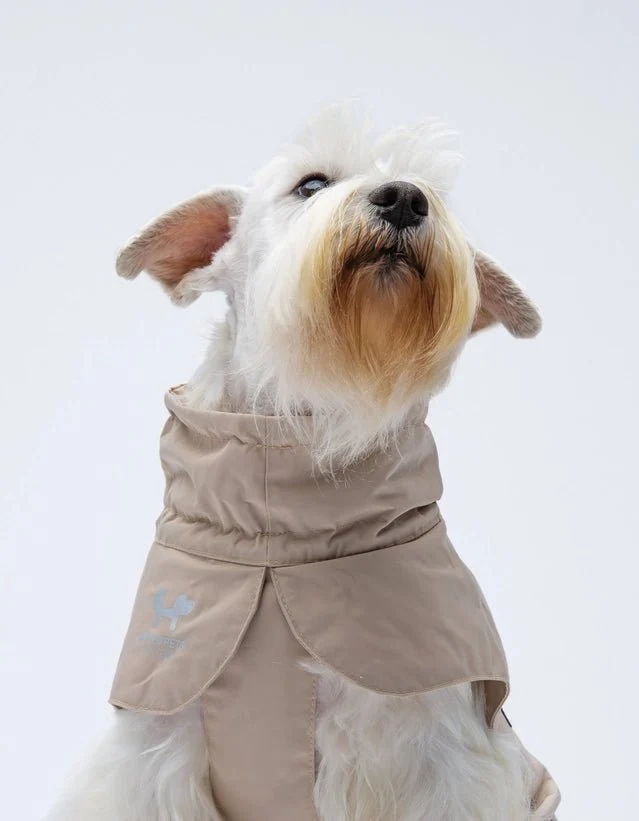 Easy Rain – Imperméable élégant pour chien, aussi pour grand chien