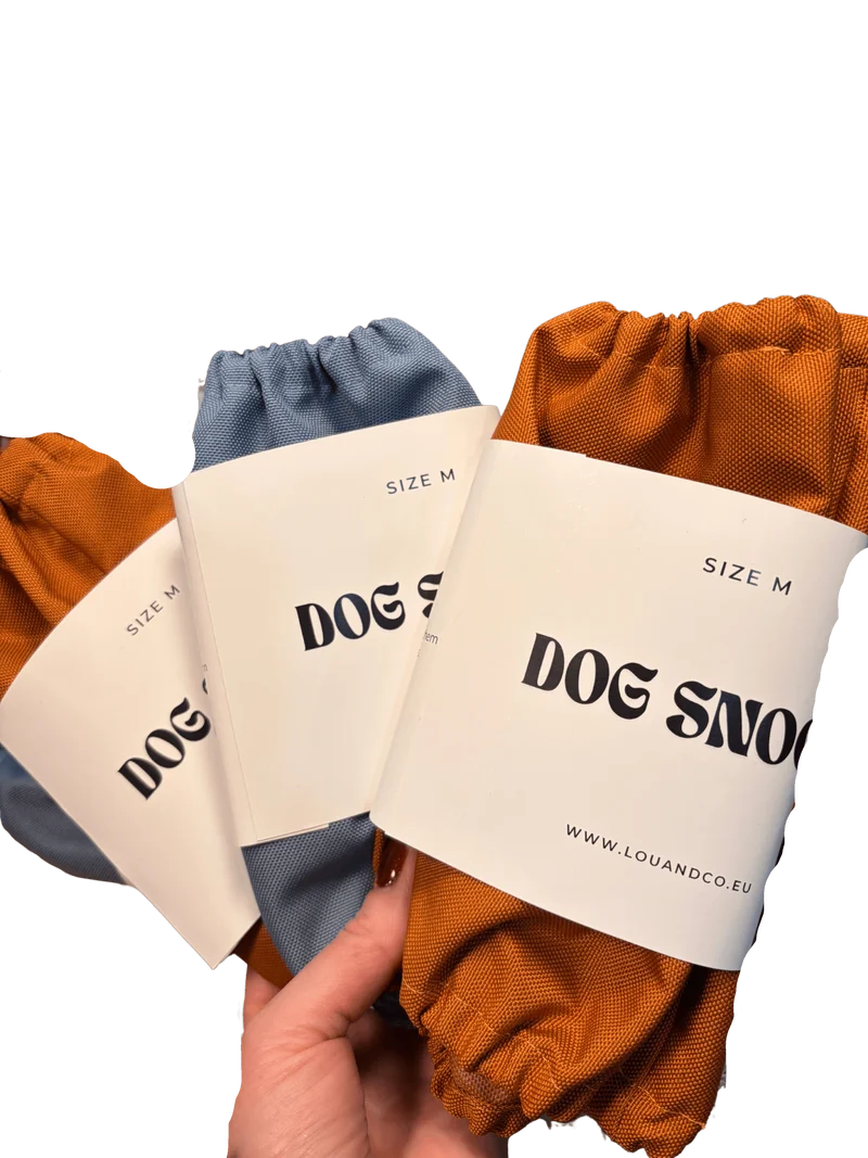Snood pour chien imperméable technique – protège les oreilles par tous temps