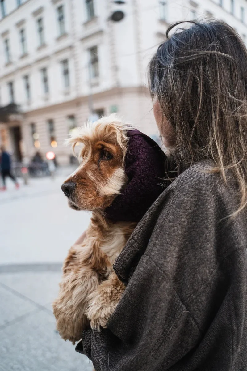 Snood d’hiver réversible bordeaux – chaleur & élégance