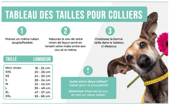 Collier pour chien en cuir Boho Rosa DWAM 💗