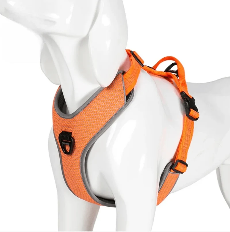 Harnais parachute petit chien