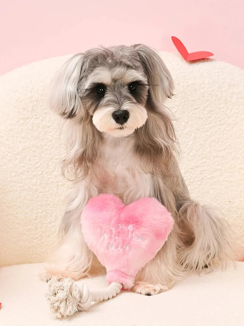 Peluche Love is in the Air ❤️ – Le jouet qui fait battre son cœur