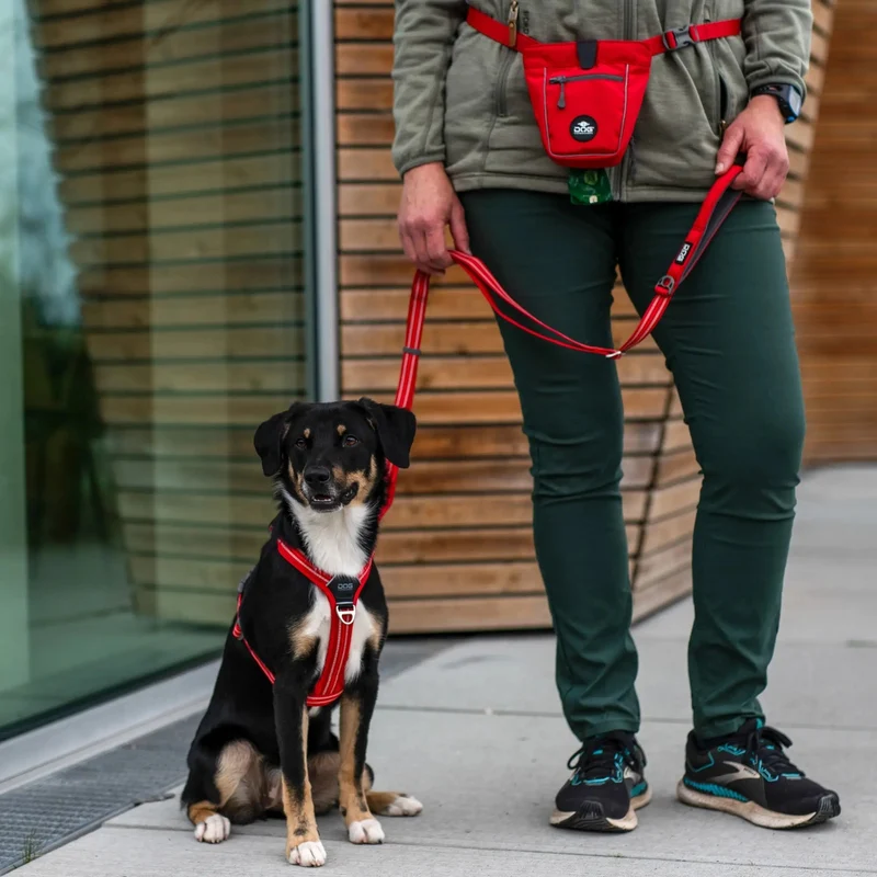 Laisse rouge Urban Freestyle™ – DOG Copenhagen