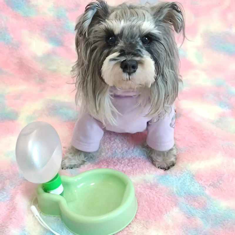 Gourde pour petit chien