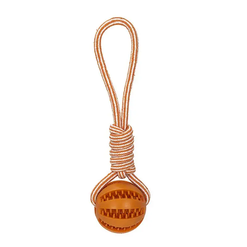 Balle à friandise pour chiot