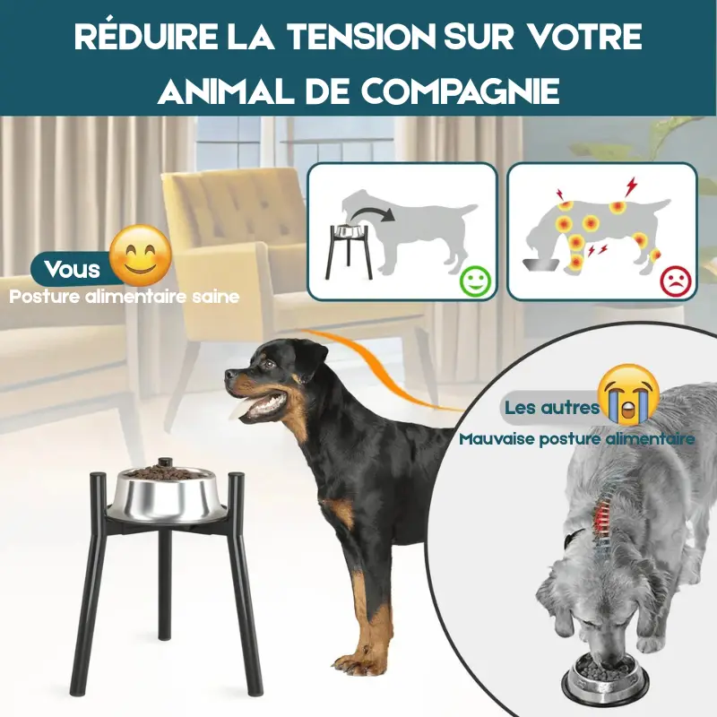 Gamelle pour chien en hauteur design