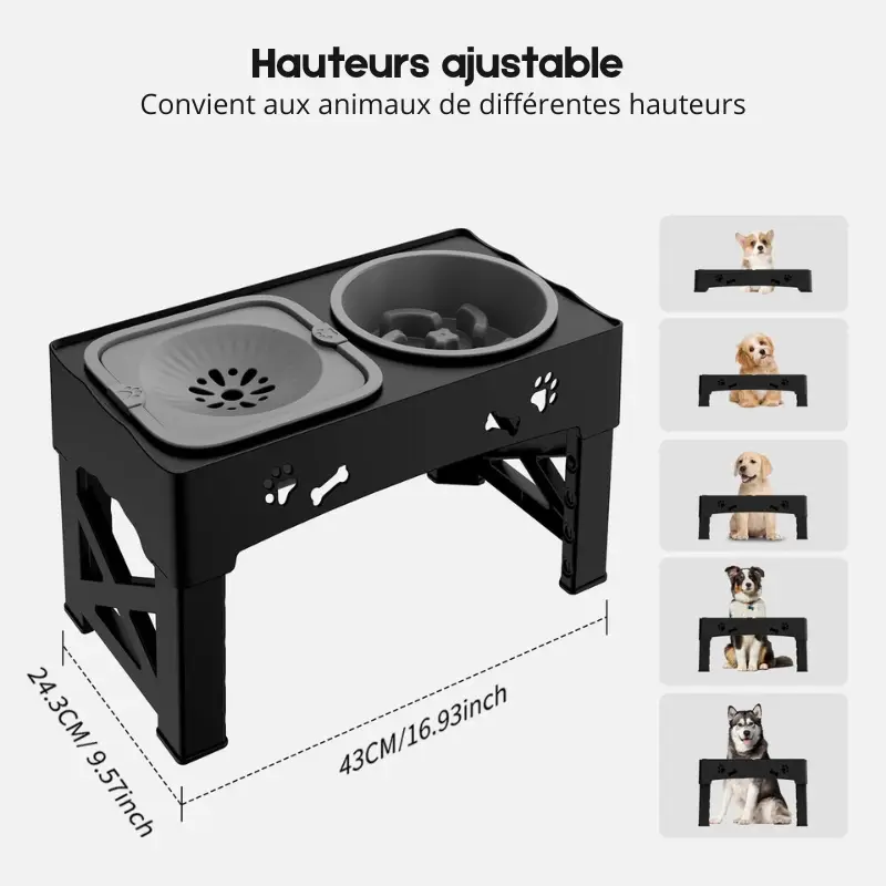 Gamelle pour chien réglable en hauteur