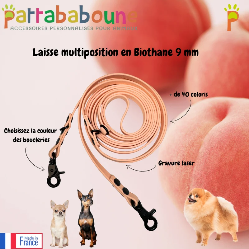 Laisse multiposition personnalisée en biothane 9 mm