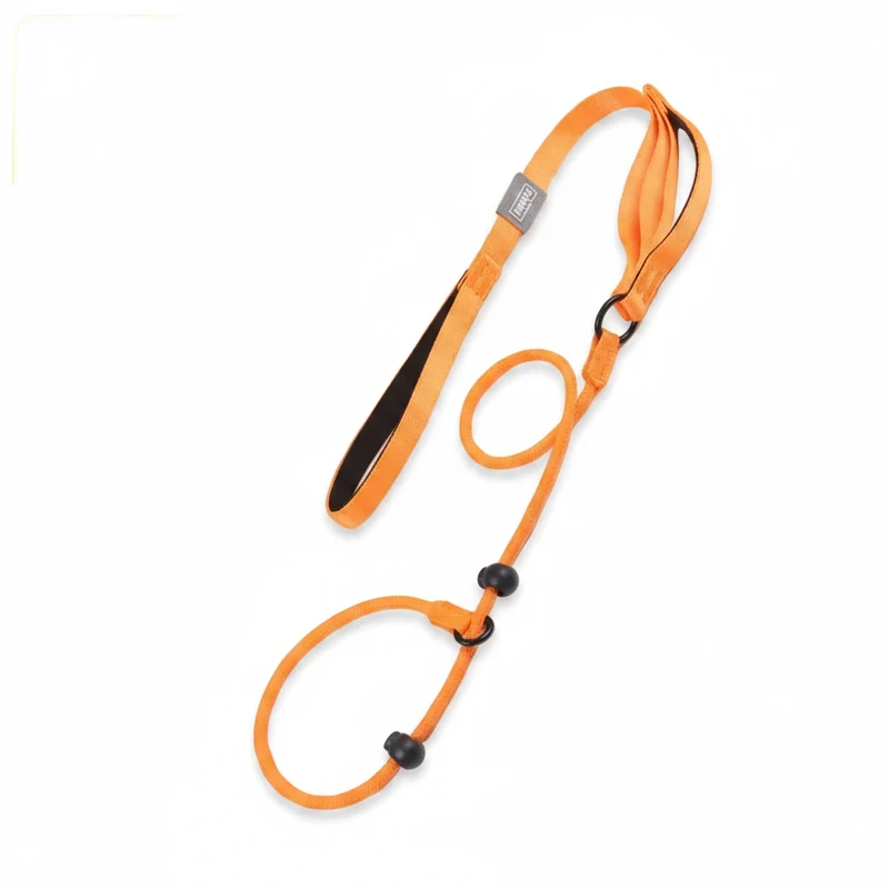 Collier education chiot