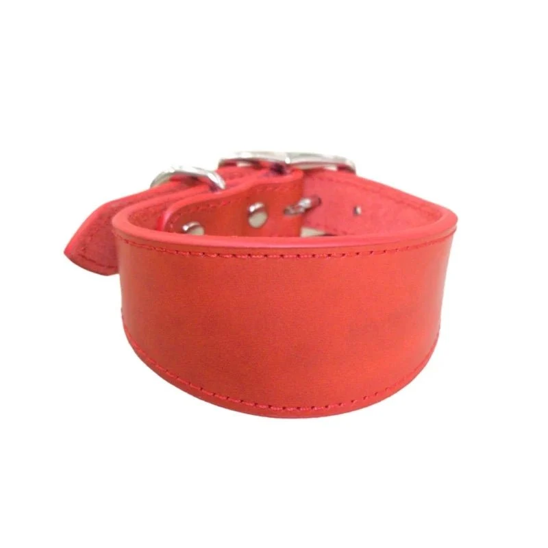 Collier chiot whippet