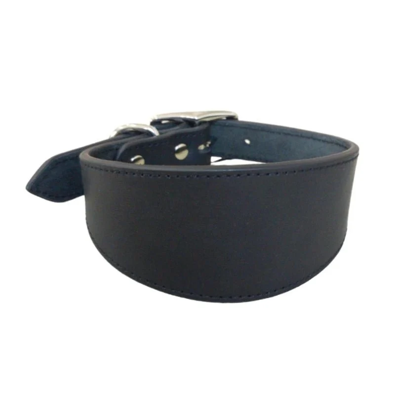 Collier chiot whippet
