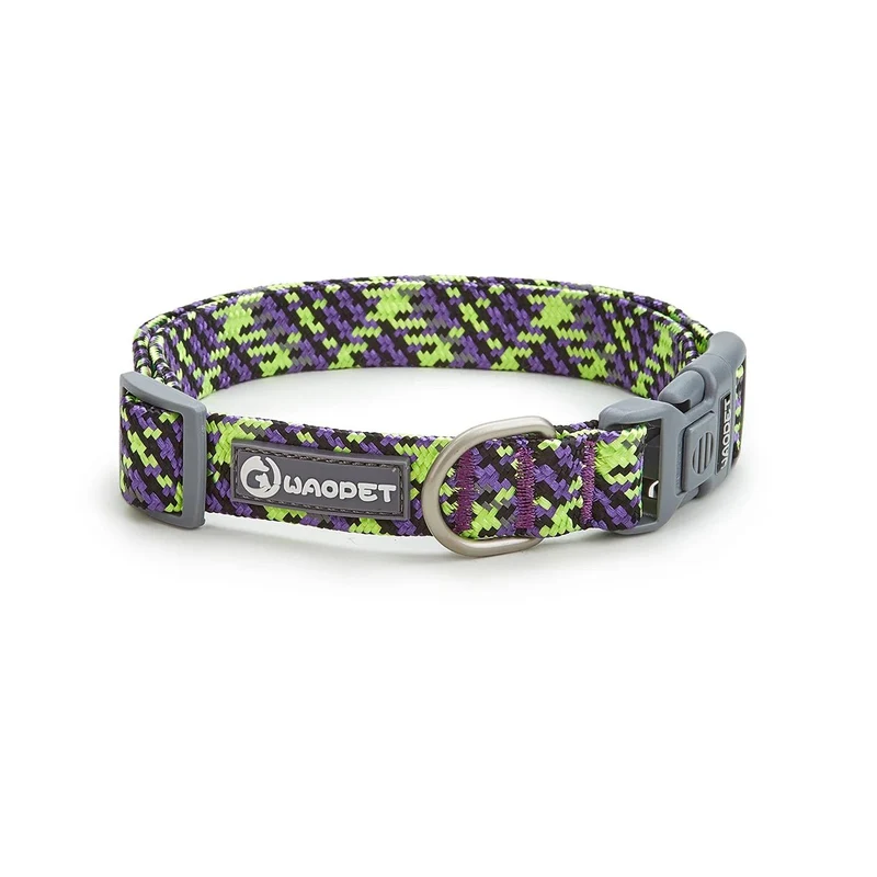 Collier chiot labrador