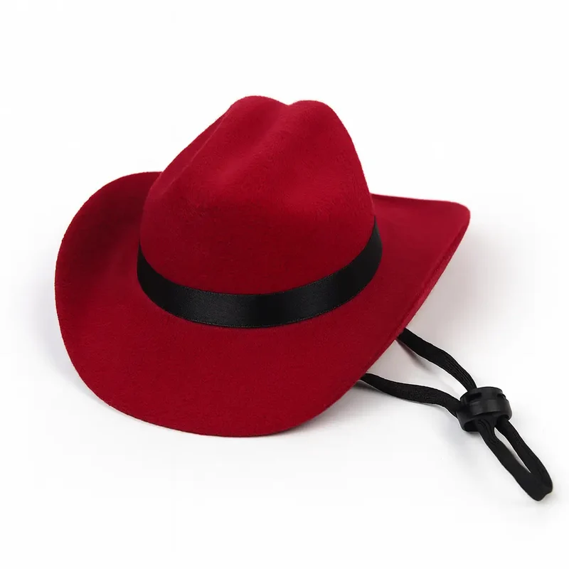Chapeau Cowboy pour chien