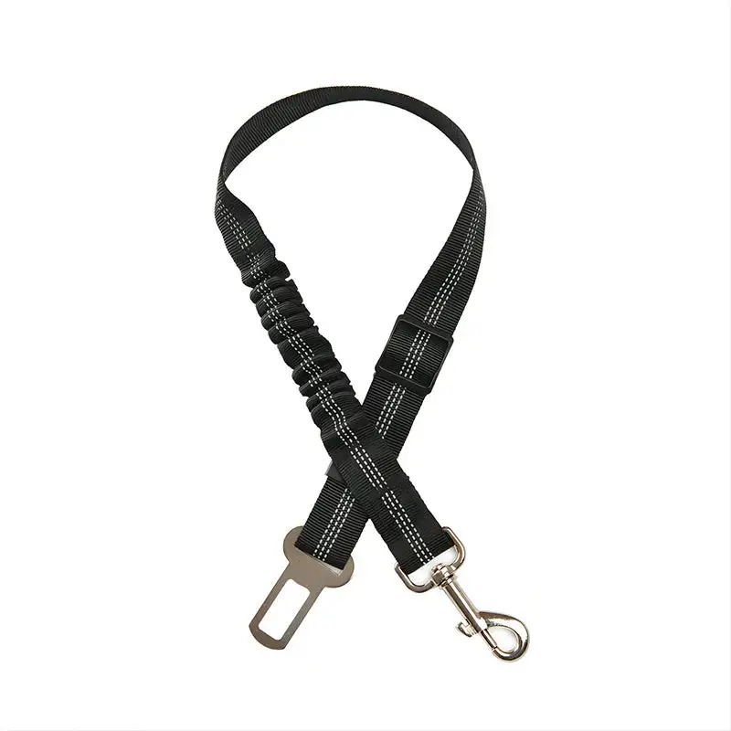 Ceinture de sécurité élastique pour chien