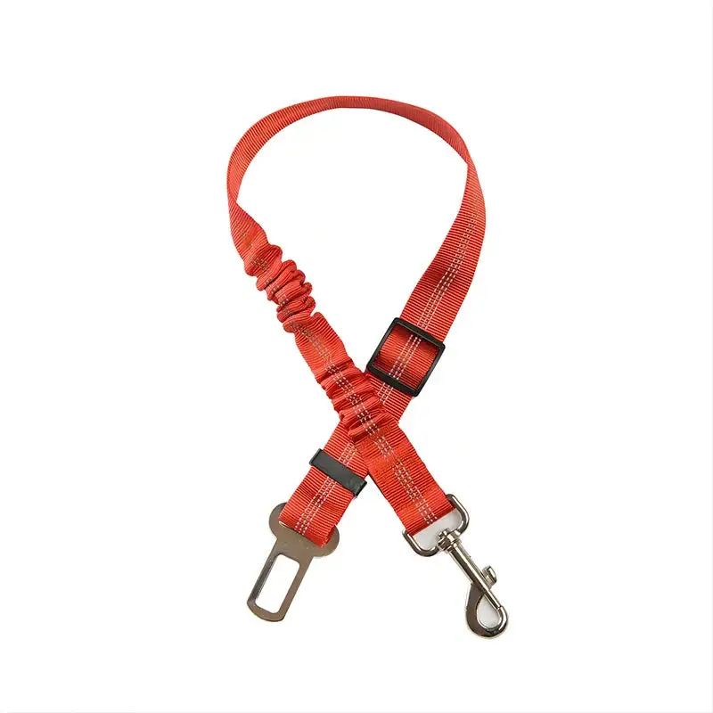 Ceinture de sécurité élastique pour chien
