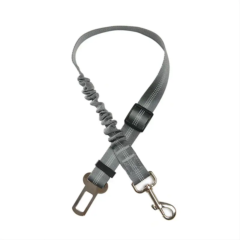 Ceinture de sécurité élastique pour chien