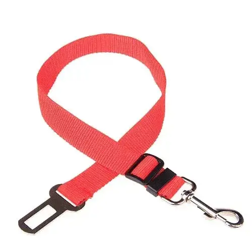 Ceinture de sécurité pour chien