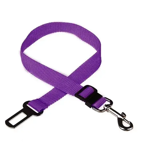 Ceinture de sécurité pour chien