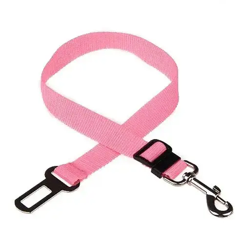 Ceinture de sécurité pour chien