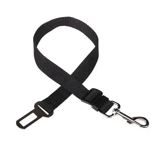 Ceinture de sécurité pour chien