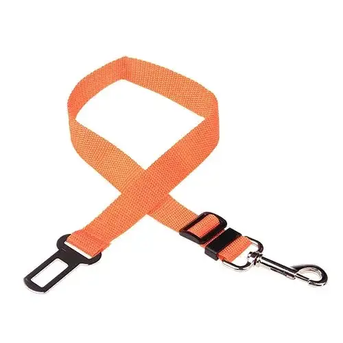 Ceinture de sécurité pour chien