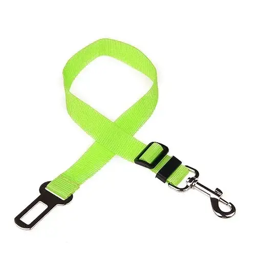 Ceinture de sécurité pour chien