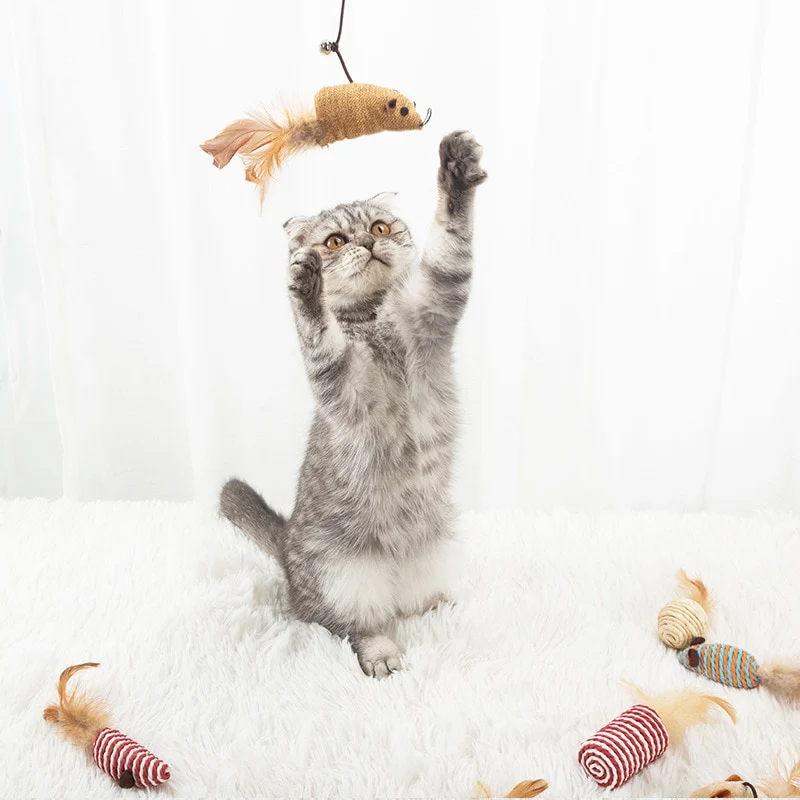 Lot de 7 jouets pour chat