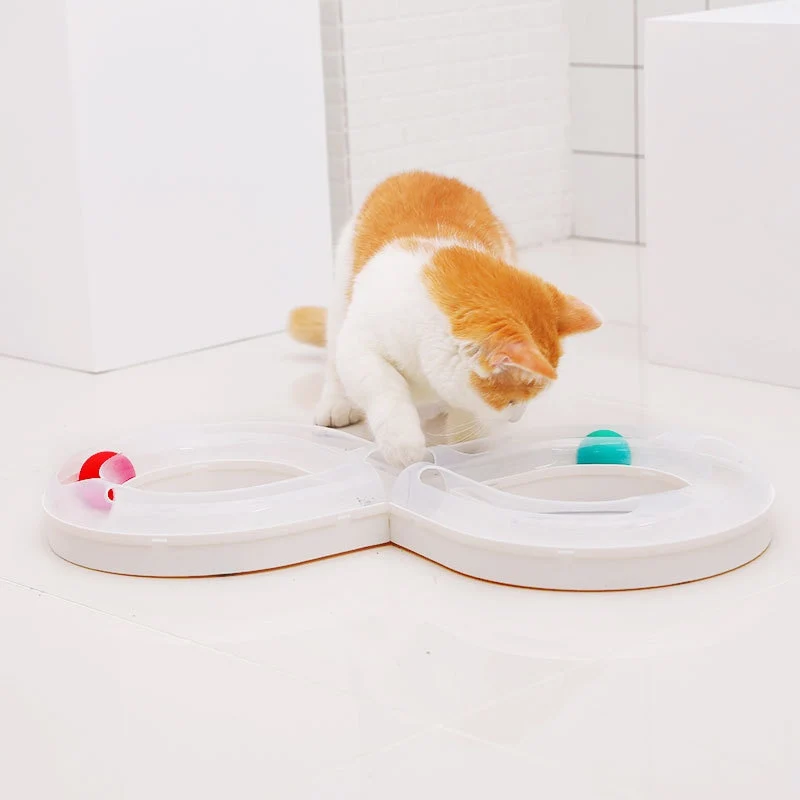 Circuit de jeux pour chats