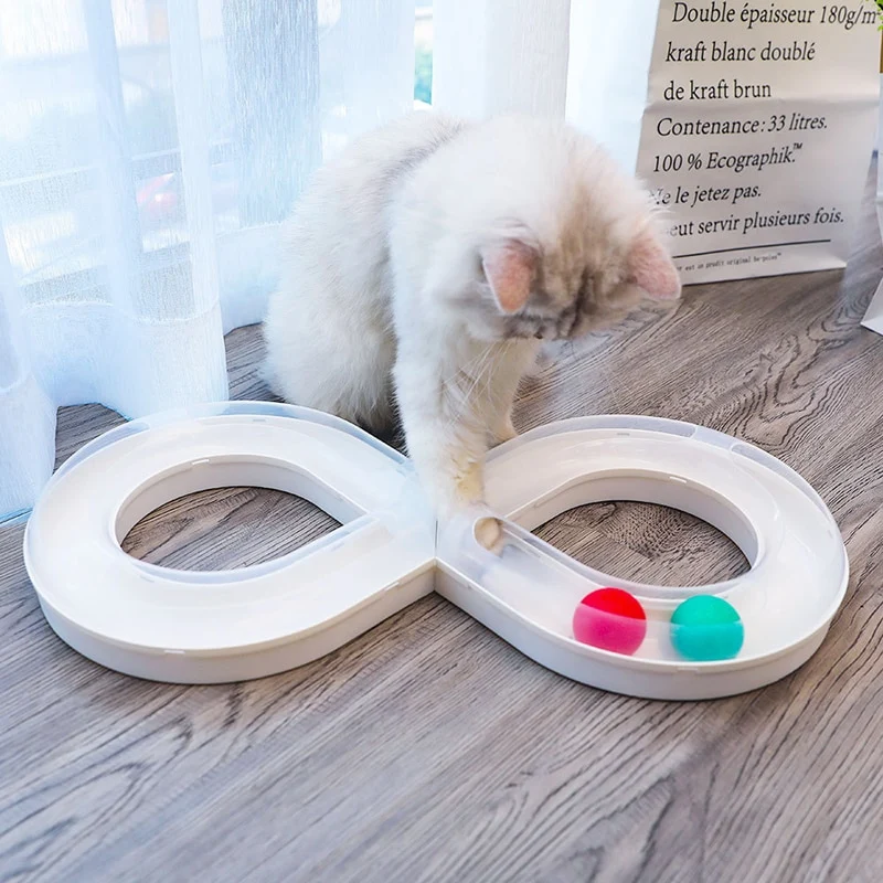 Circuit de jeux pour chats