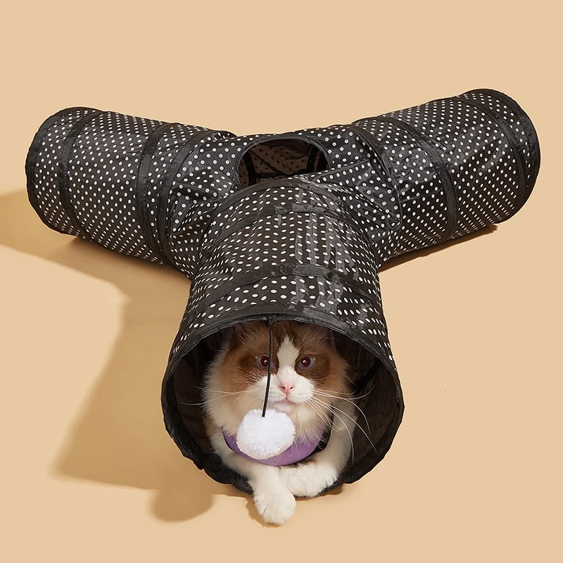 Tunnel de jeux pour chat