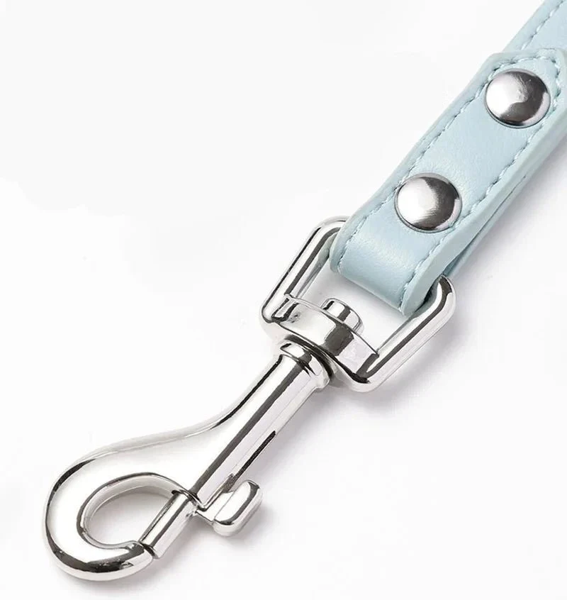 Harnais de luxe pour petit chien