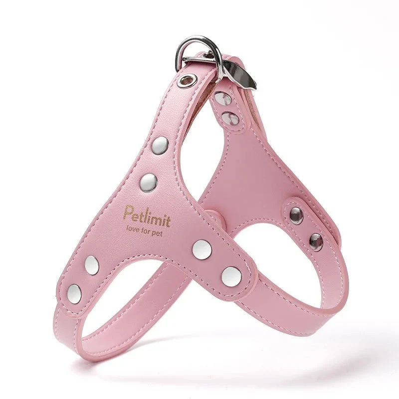 Harnais de luxe pour petit chien