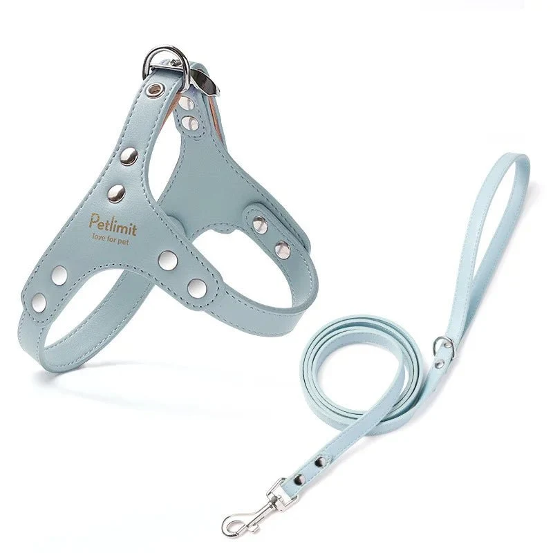 Harnais de luxe pour petit chien