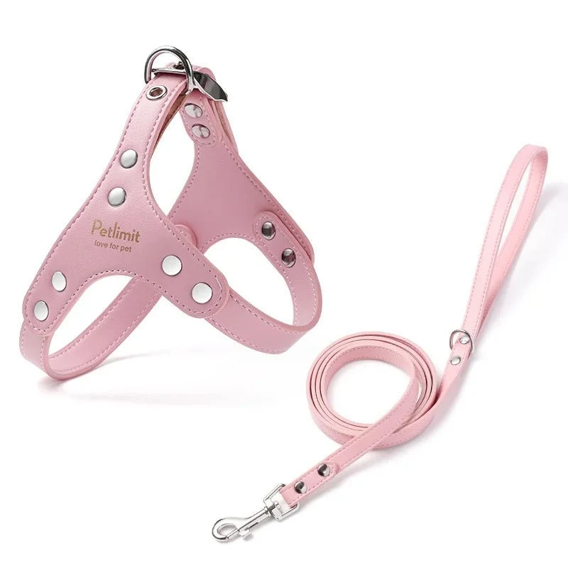 Harnais de luxe pour petit chien