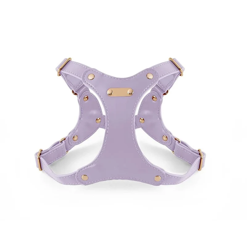 Harnais de cuir pour petit chien