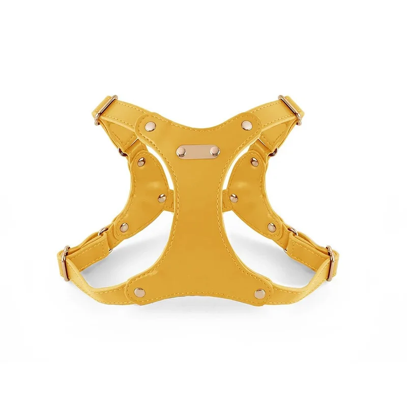 Harnais de cuir pour petit chien