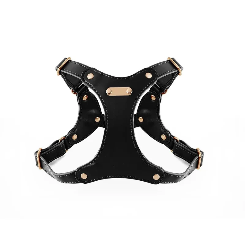 Harnais de cuir pour petit chien