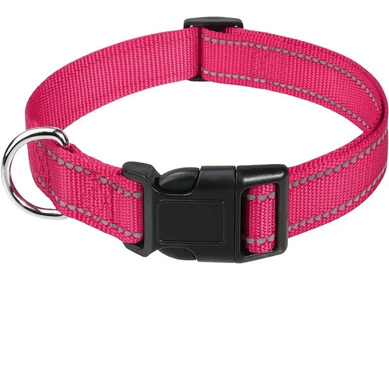 Collier chiot femelle