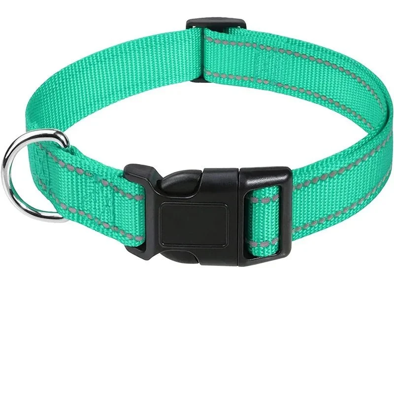 Collier chiot femelle