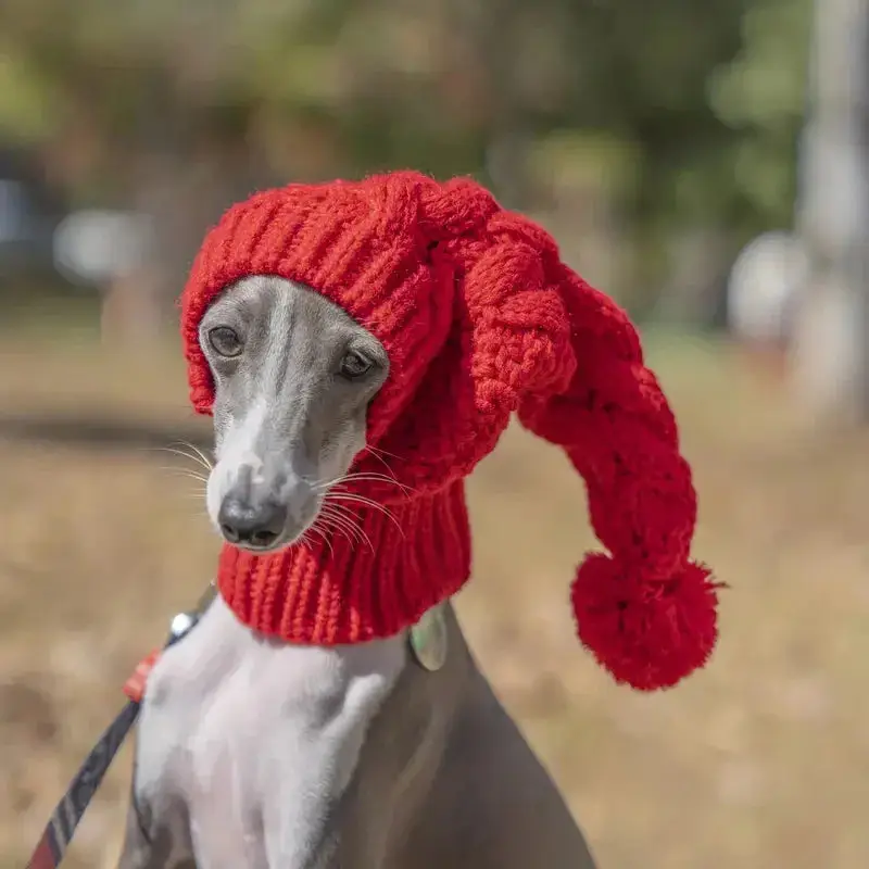 Bonnet cagoule pour chien