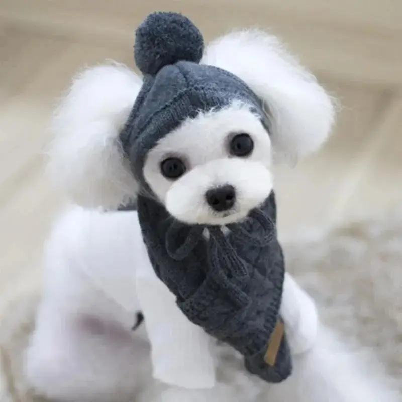 Bonnet avec écharpe pour chien