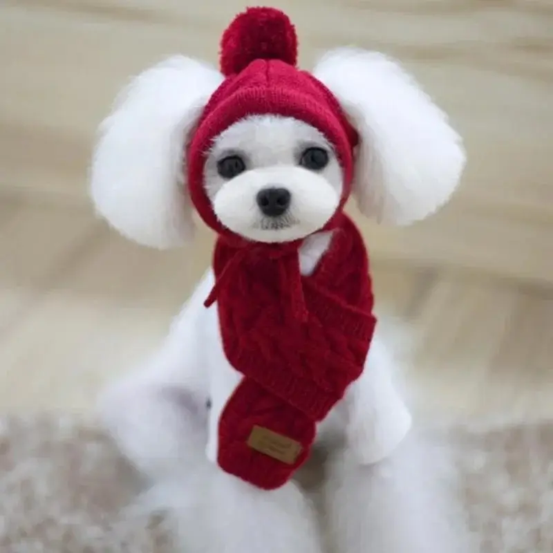 Bonnet avec écharpe pour chien